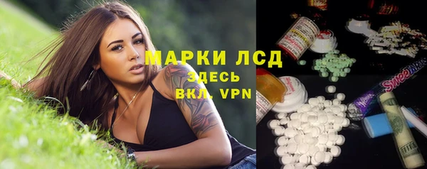 трава Пересвет