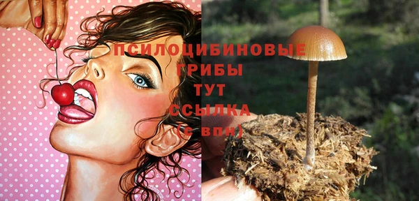 трава Пересвет