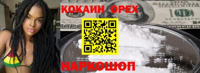 сатива Кингисепп