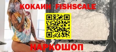сатива Кингисепп