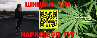сатива Кингисепп