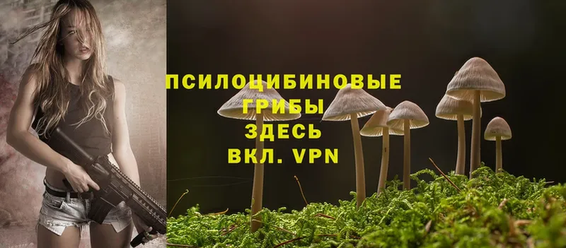 Галлюциногенные грибы Cubensis  даркнет сайт  Раменское 