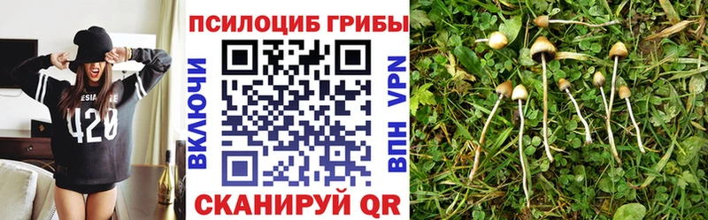 Галлюциногенные грибы мухоморы  Раменское 