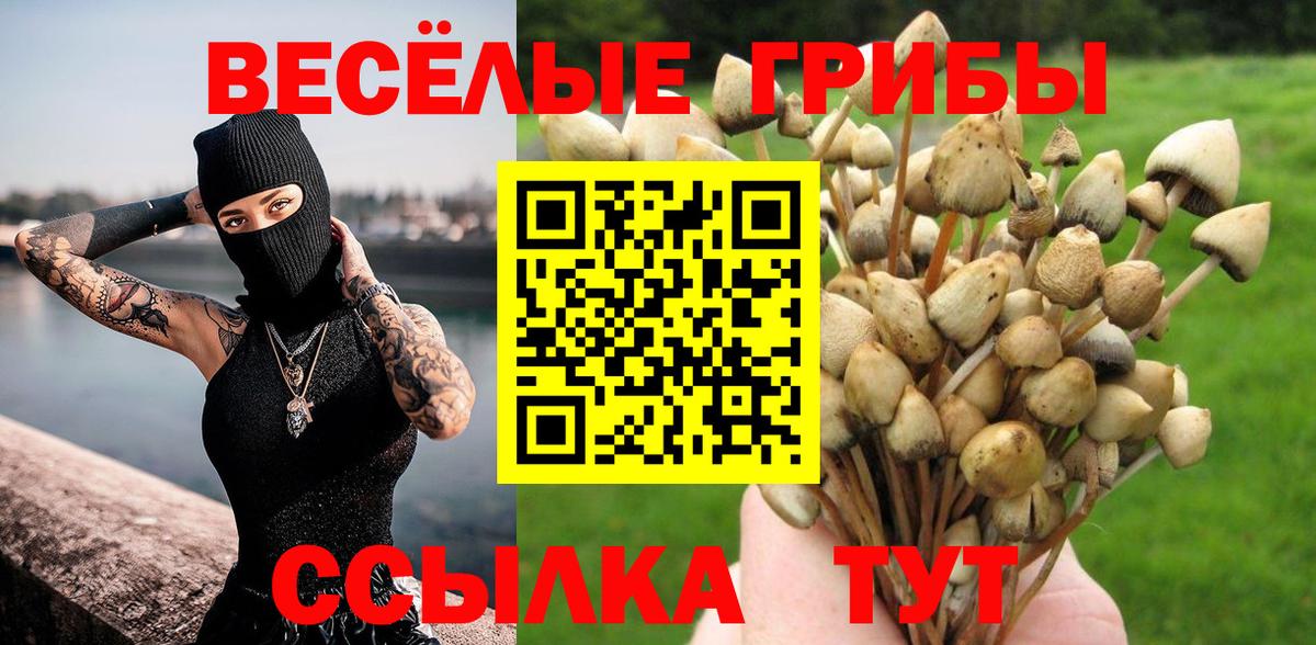Псилоцибиновые грибы Magic Shrooms Раменское