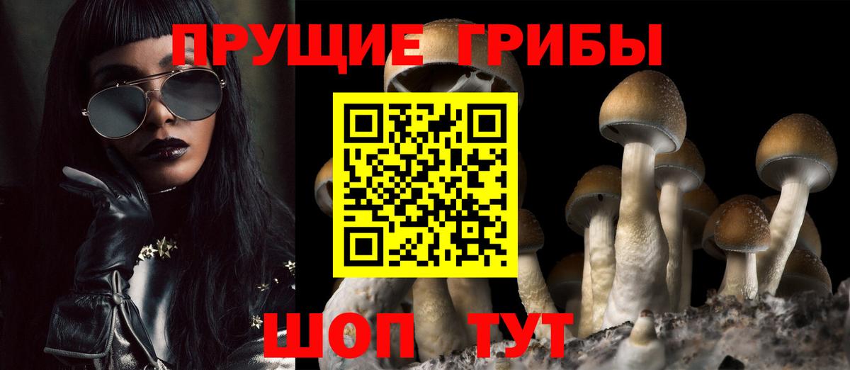 Раменское  Галлюциногенные грибы Psilocybine cubensis  Вход с VPN 